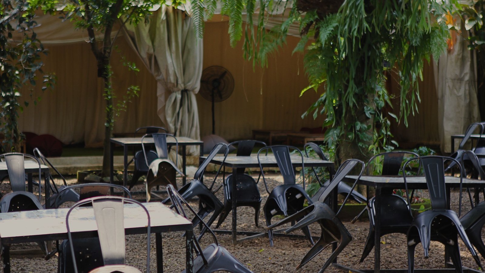 Lush outdoor restaurant garden seating