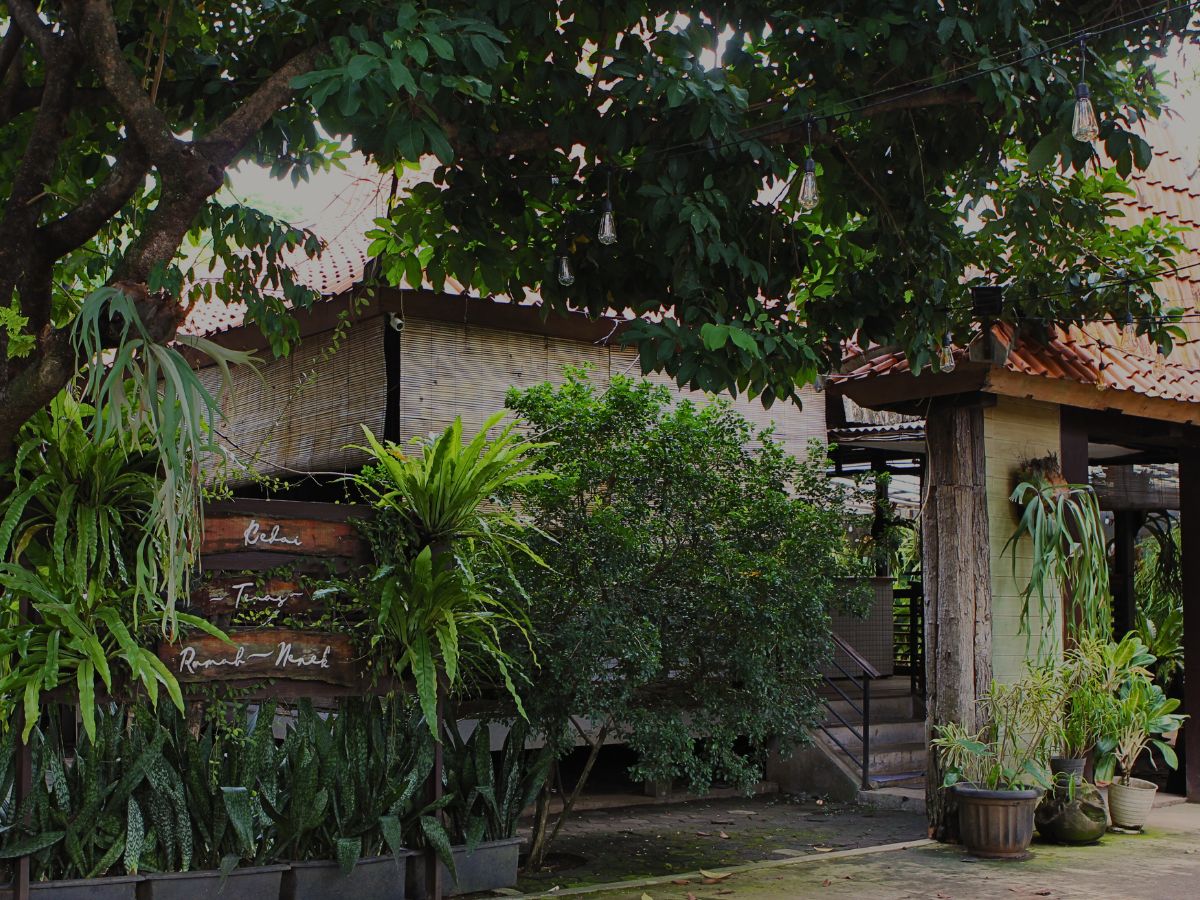 Cozy wooden interior